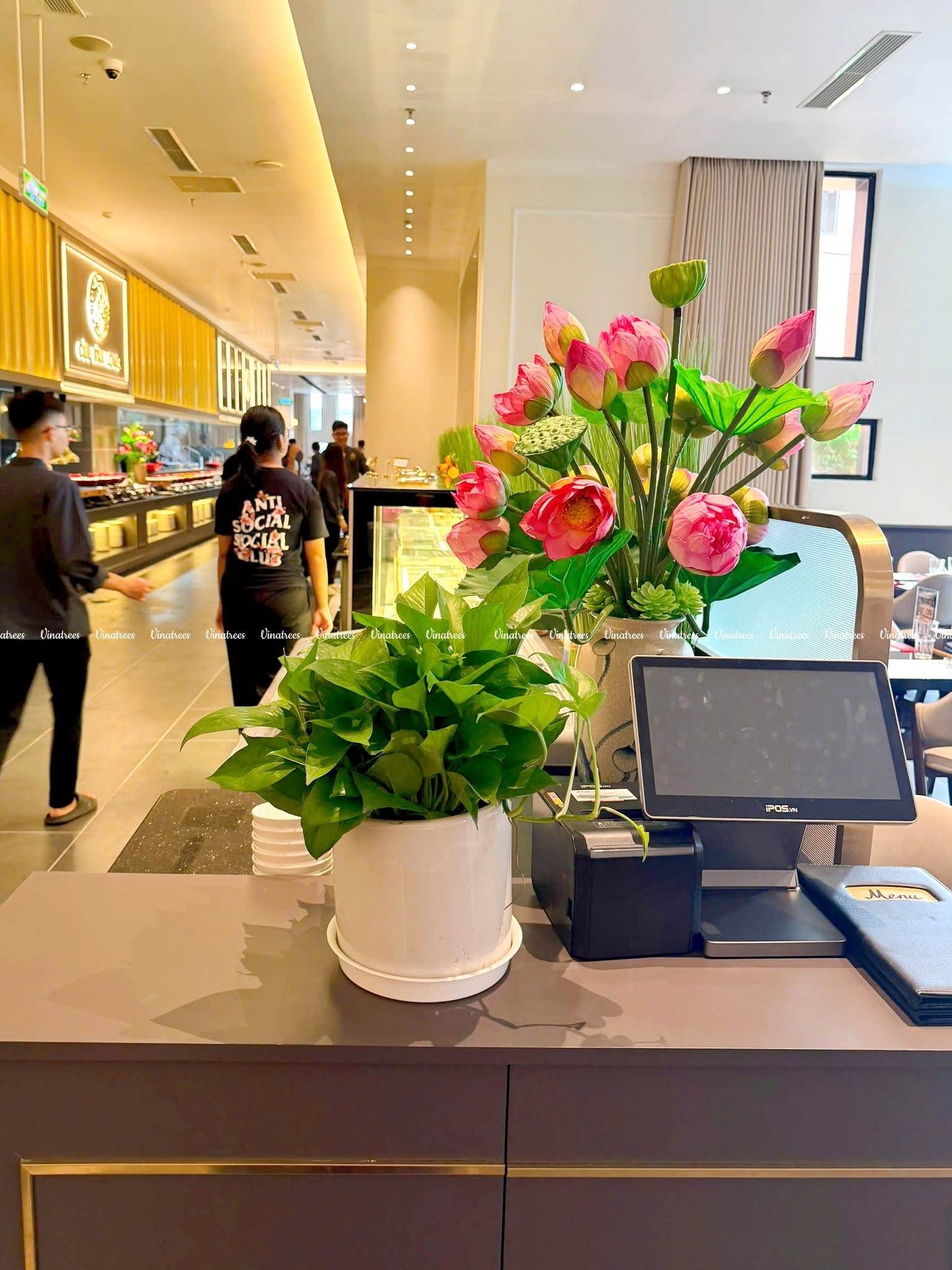 Vinatrees thi công cây cảnh văn phòng tại Hà Nội